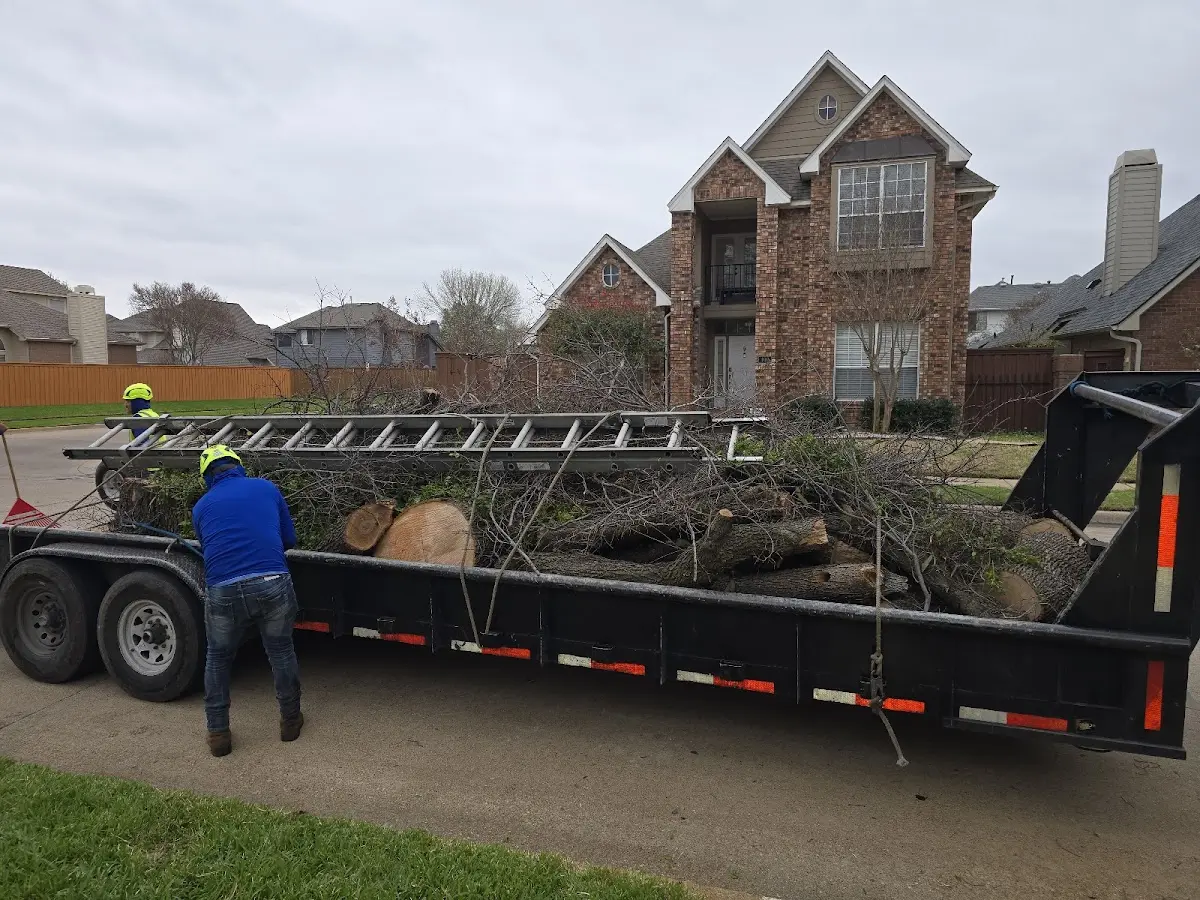 Expert Lot Clearing with proper safety equipment in Conconully